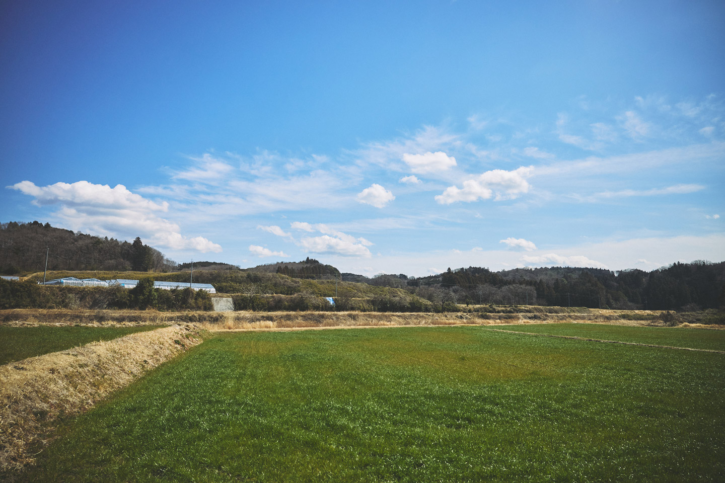 大田原市田園風景