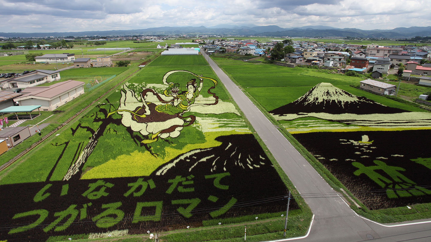青森県田舎館村の田んぼアート