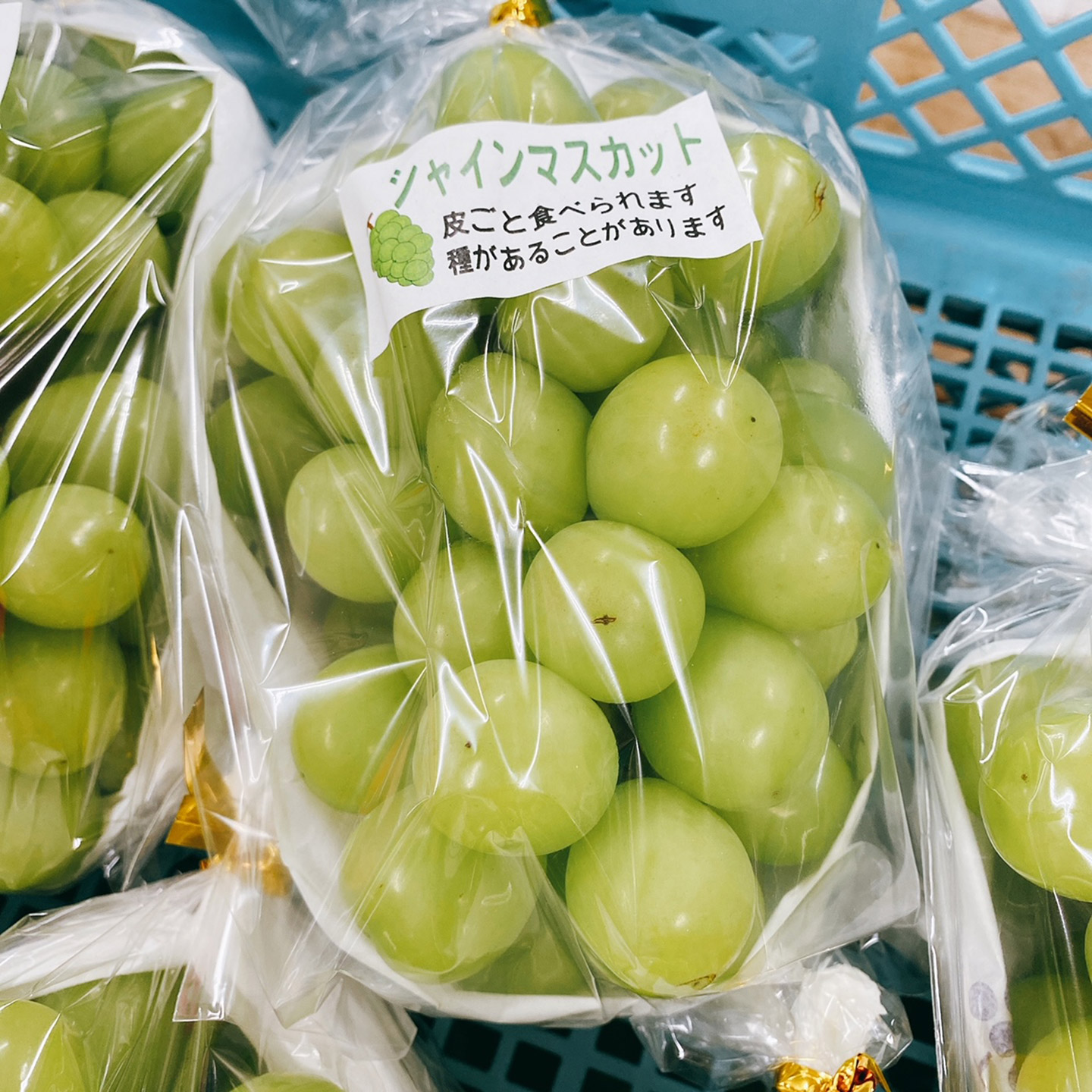 うきは シャインマスカット