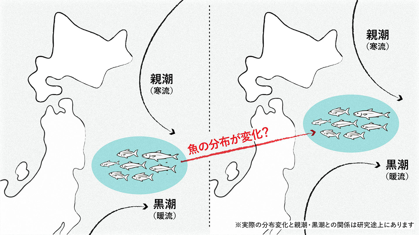 日本近海で親潮が弱まり黒潮が北上するなど、生物の生育地に影響が出ている海のイメージ図