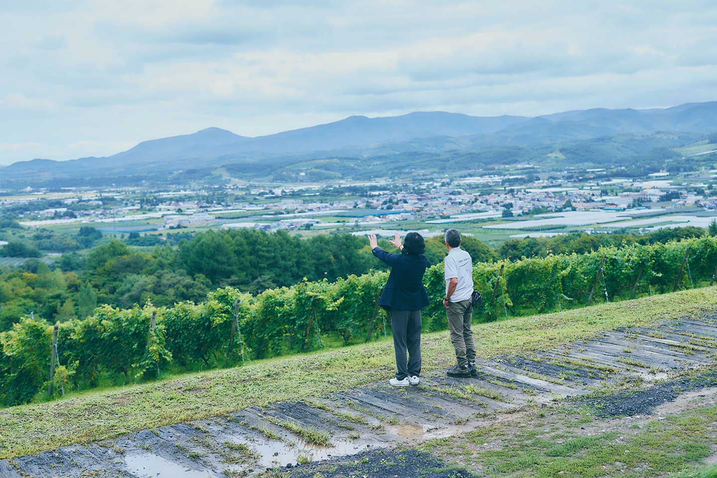 NIKI Hills Wineryから見渡す北海道余市町と仁木町の町並み