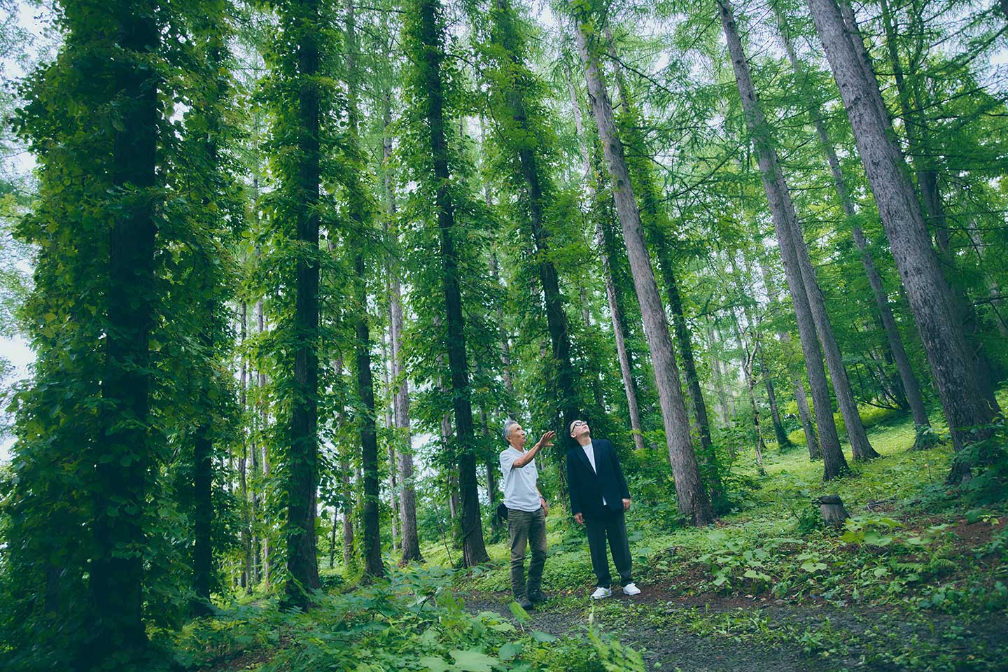 NIKI Hills Winery内にある広大な森