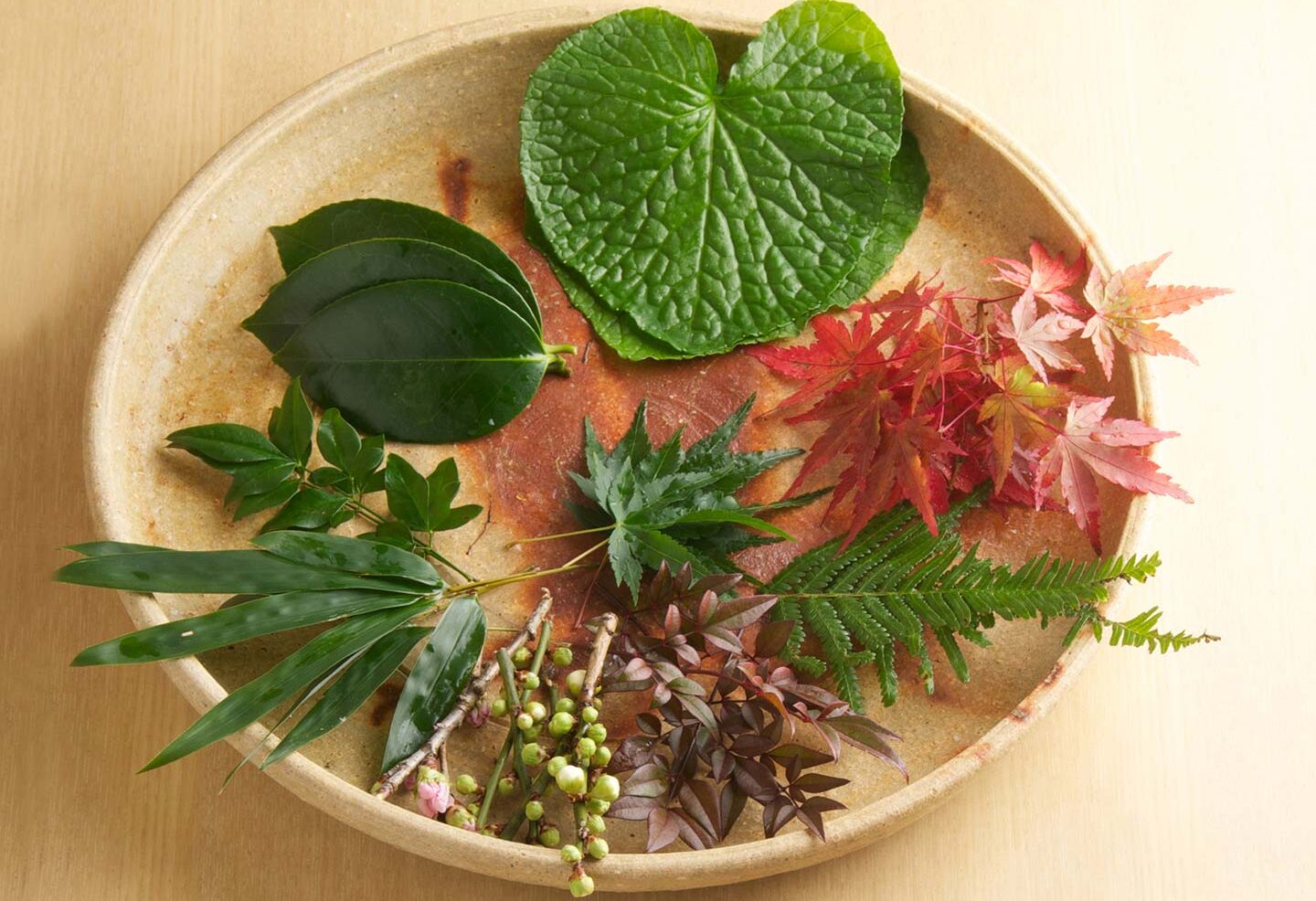 円状に並べられた8種類の葉っぱ