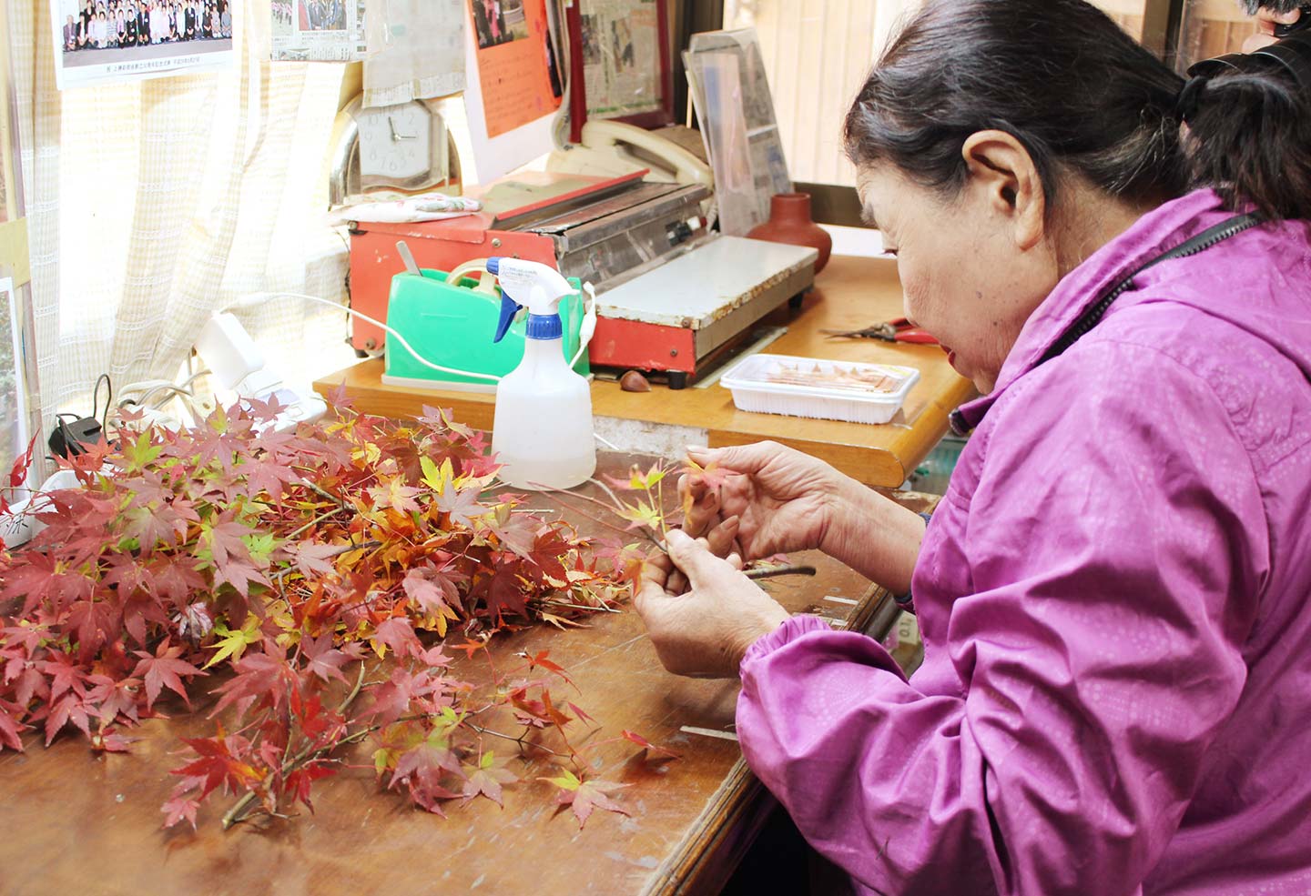 作業場で紅葉の葉っぱを触る農家さん