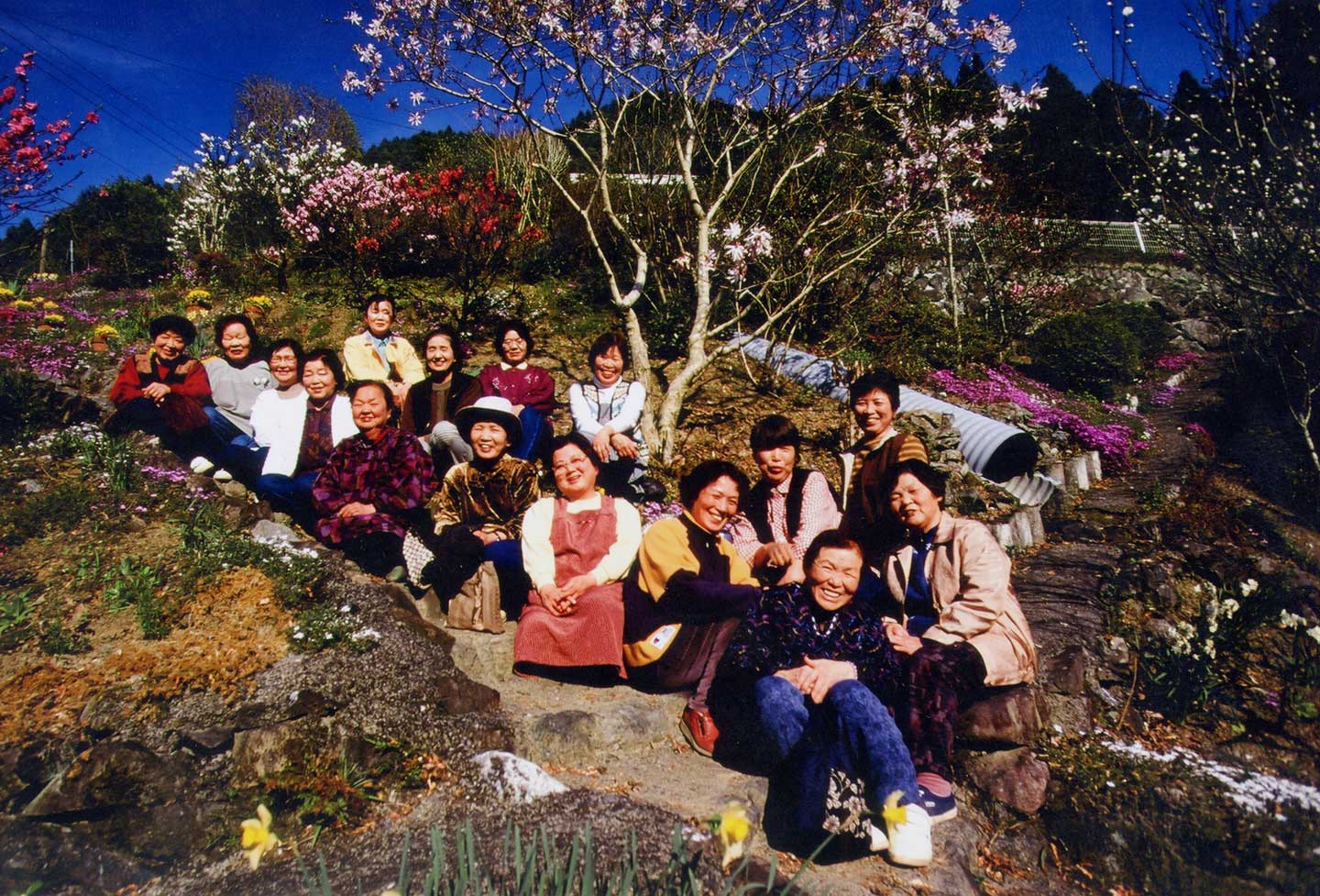 約20名の農家の女性たちが、木の前で笑顔で座っている記録写真。