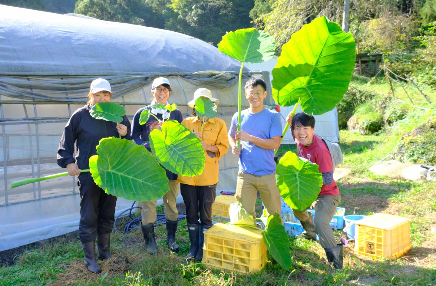 屋外でビニールハウスの前に立つ、農家の方々5名。それぞれ大きな葉っぱを持ち、笑顔でこちらを向いている