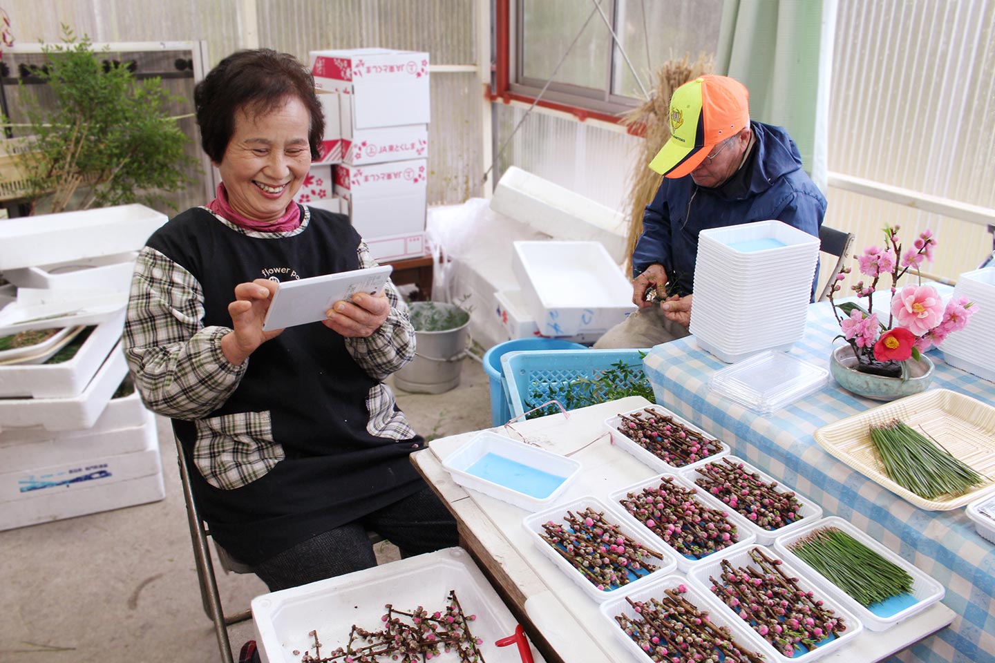 タブレットを操作する農家さん。その前には出荷前の木の枝が並んでいる