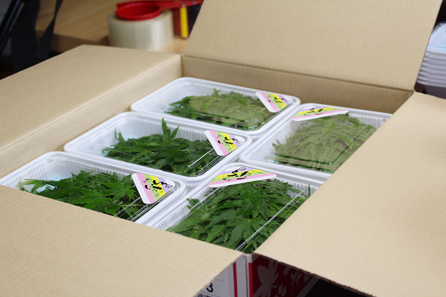 出荷前の緑色の葉っぱが段ボールに入っている