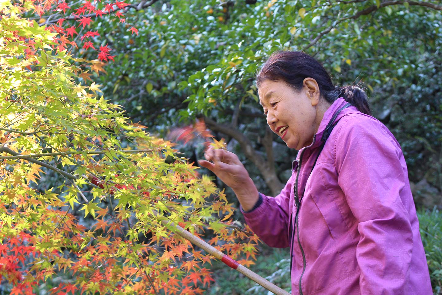 紅葉の葉っぱを手に取って笑顔を見せる農家さん