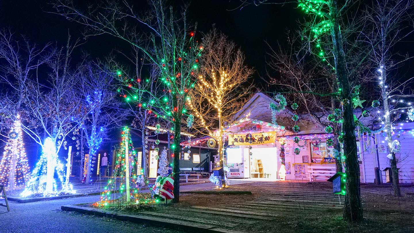 養老渓谷駅の駅舎や周辺の木々にイルミネーションの飾りつけがされている