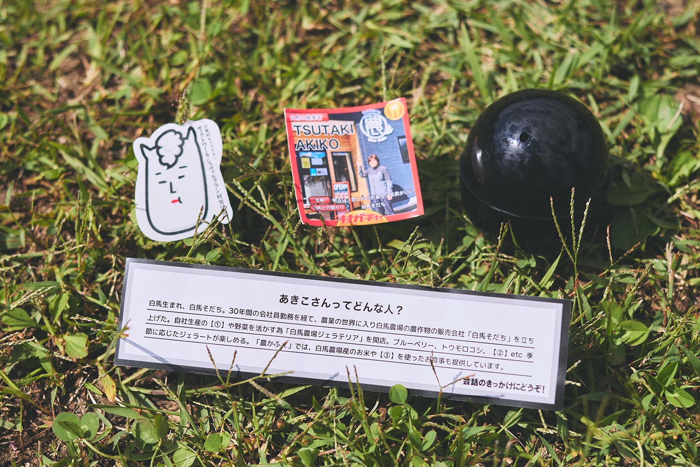 村ガチャのカプセルと、村民カード、特典チケット、シール