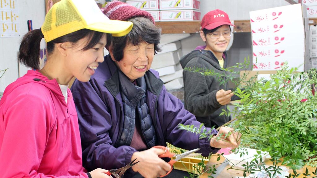 徳島県上勝町の葉っぱビジネス