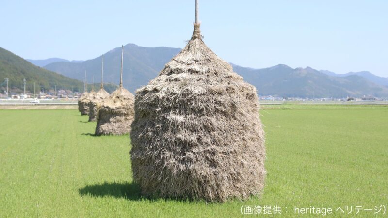 田んぼに佇んでいるわらぐろの様子。円柱の上部が尖っており、てっぺんには棒が刺してあるように見える