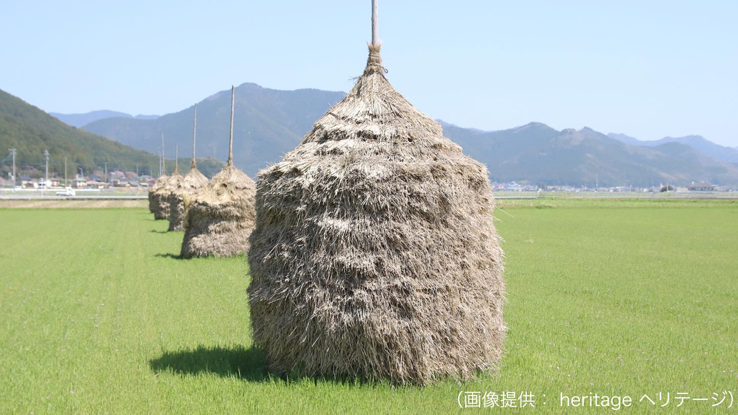 田んぼに佇んでいるわらぐろの様子。円柱の上部が尖っており、てっぺんには棒が刺してあるように見える