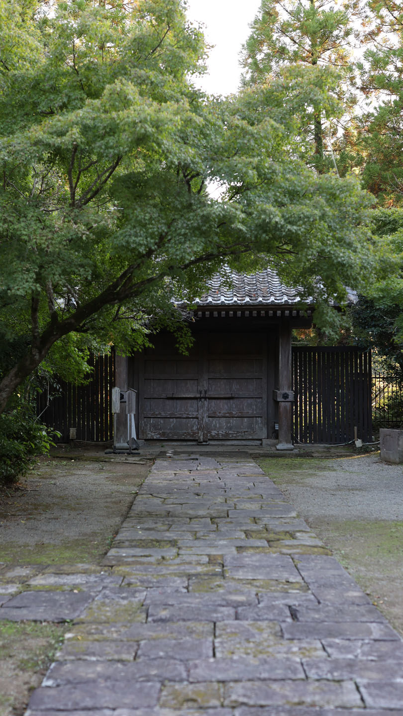 緑に囲まれた泰勝寺跡の山門と石畳の参道