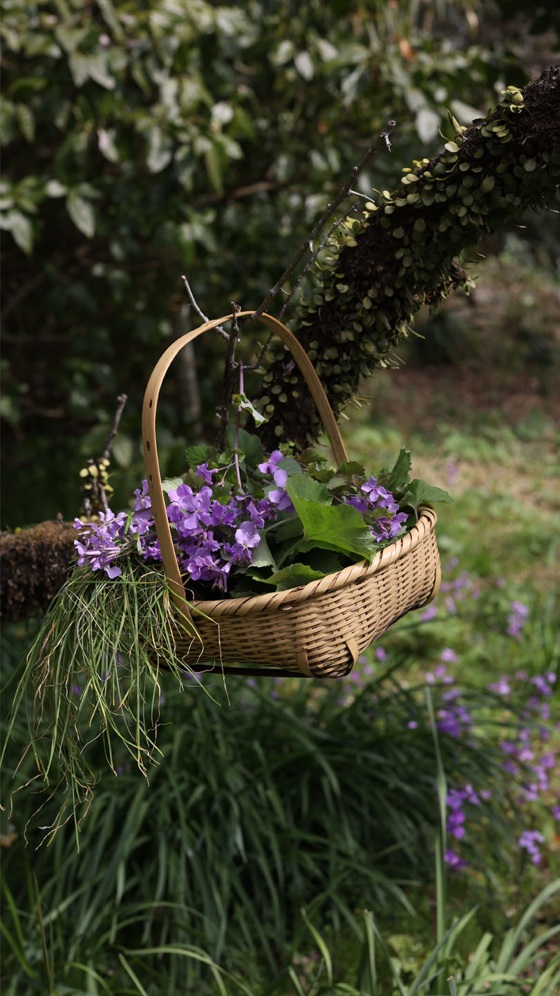 木の枝に掛けられた籠に、ダイコンバナなどの草花が活けられている