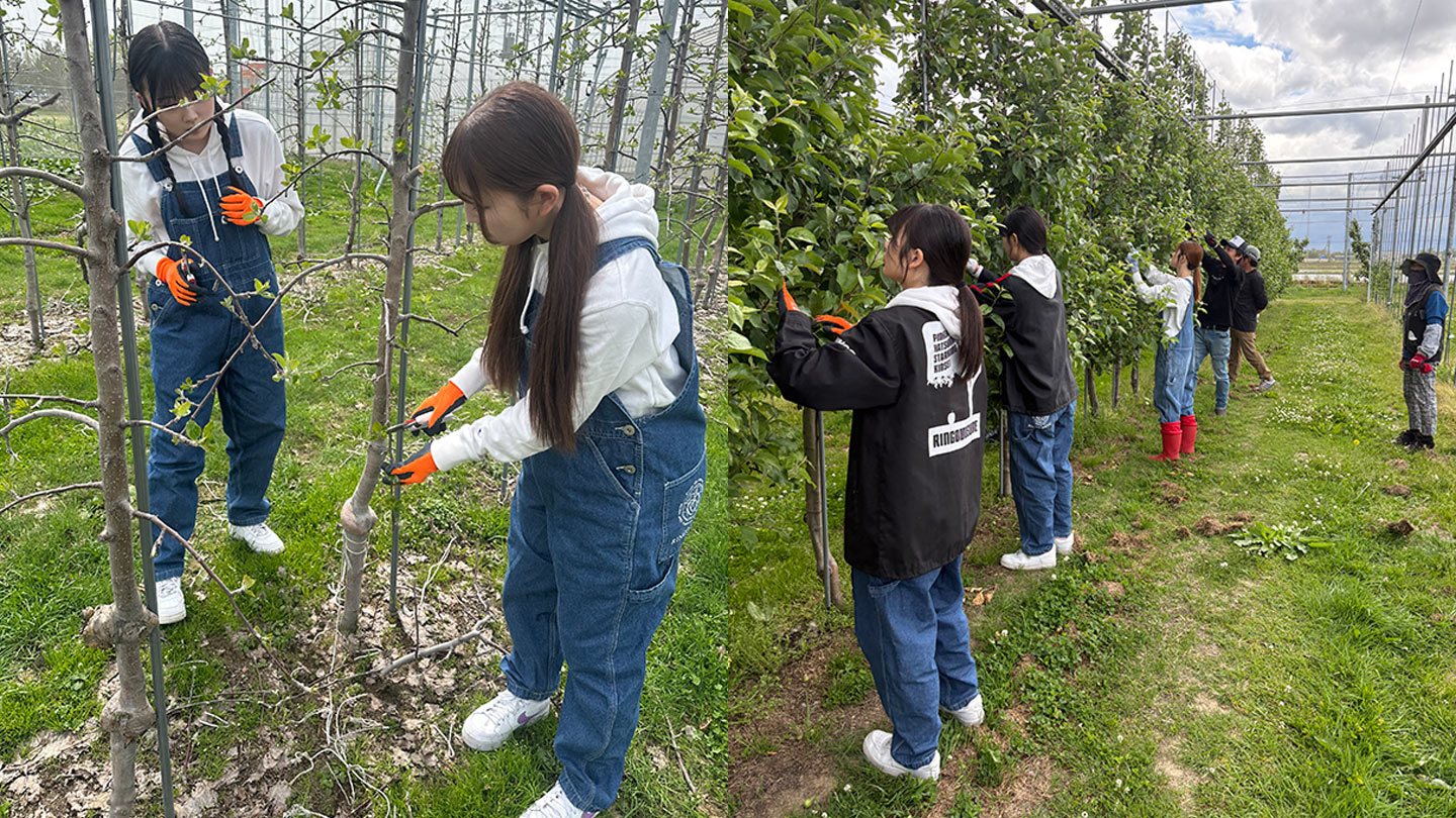 りんごの木が並んだ農園地で、作業着を着て作業をしているメンバー
