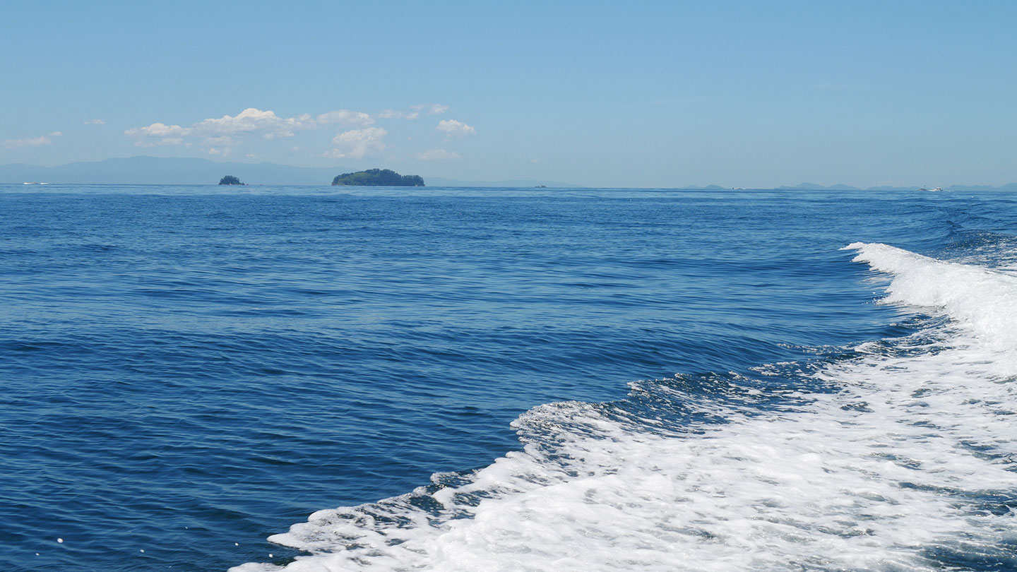 伊吹島周辺の、白波が立つ海の風景