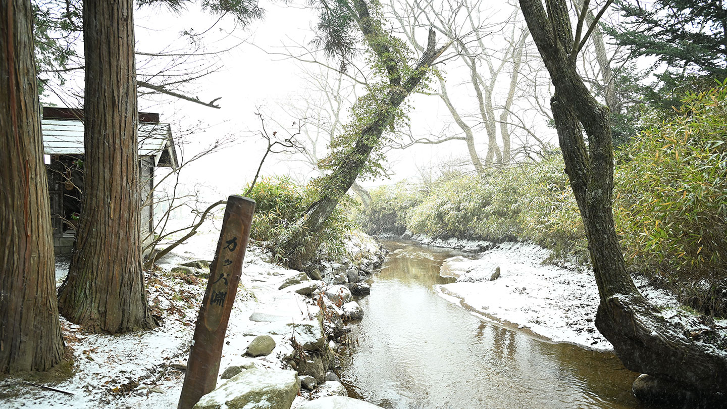 小さな川が流れ、その両脇に林がある
