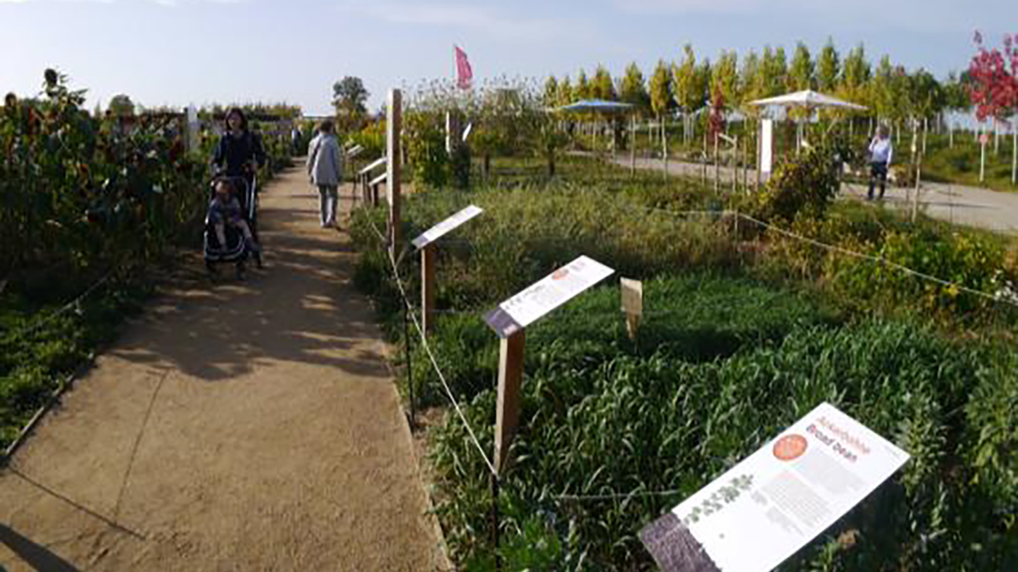 BUGA2023の農の展示エリア。作物の区画と解説パネルが並び、園路を来場者が歩いている様子