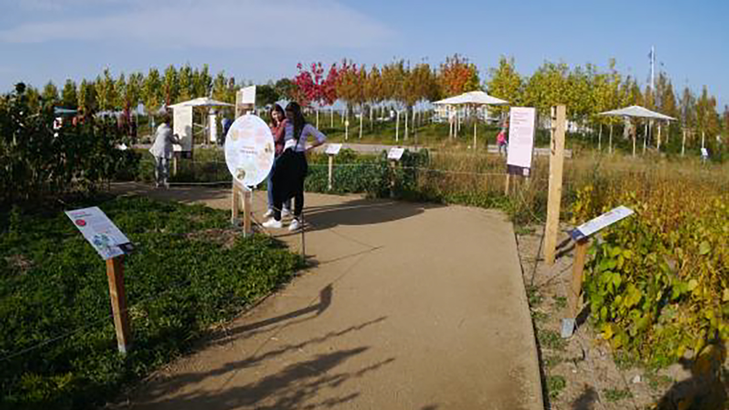 BUGA2023の農の展示で、畑の区画と解説パネルの前に立つ来場者