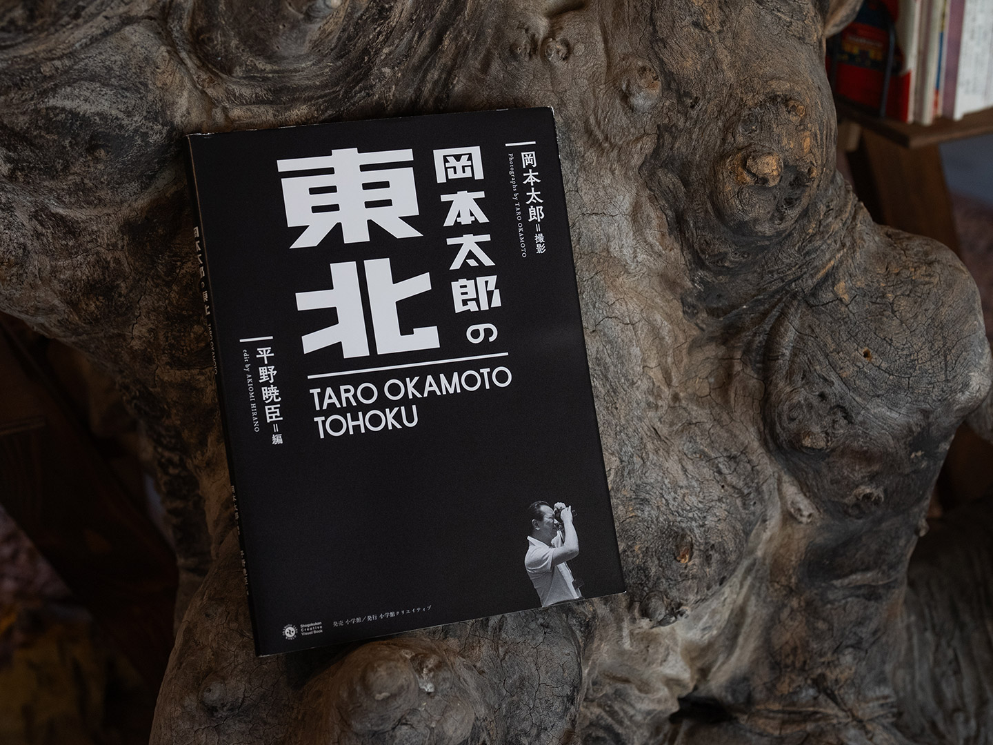 木の幹の上に、岡本太郎の『岡本太郎の東北』で本が平置きされている
