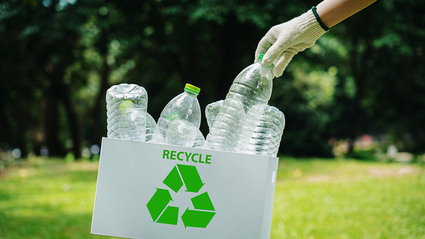 自然の中でペットボトルをリサイクルしている様子