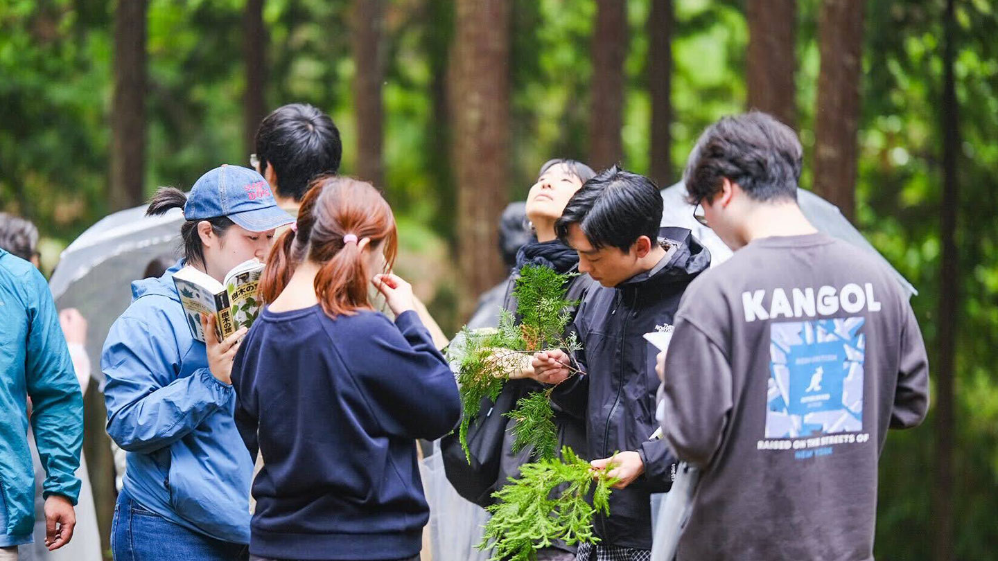 6人の大人が樹木種別調査をしている