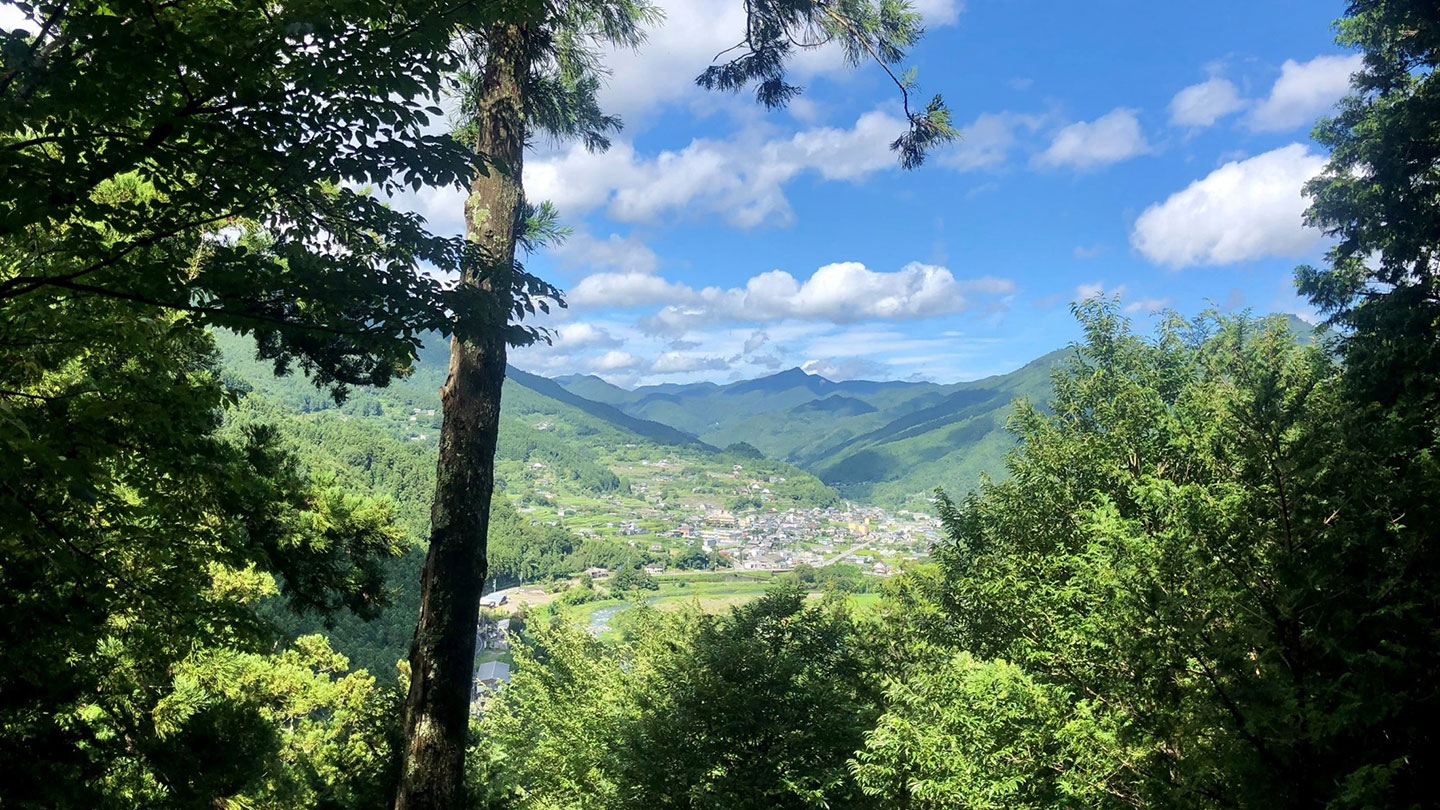 山の上から見下ろした盆地の風景。山あいの平地に広がる住宅地が見える