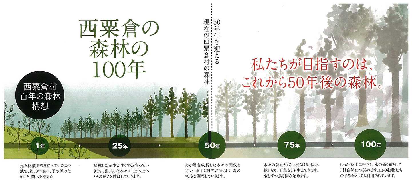 西粟倉村の森林が100年かけて成長する様子がイラストと文章で表されている