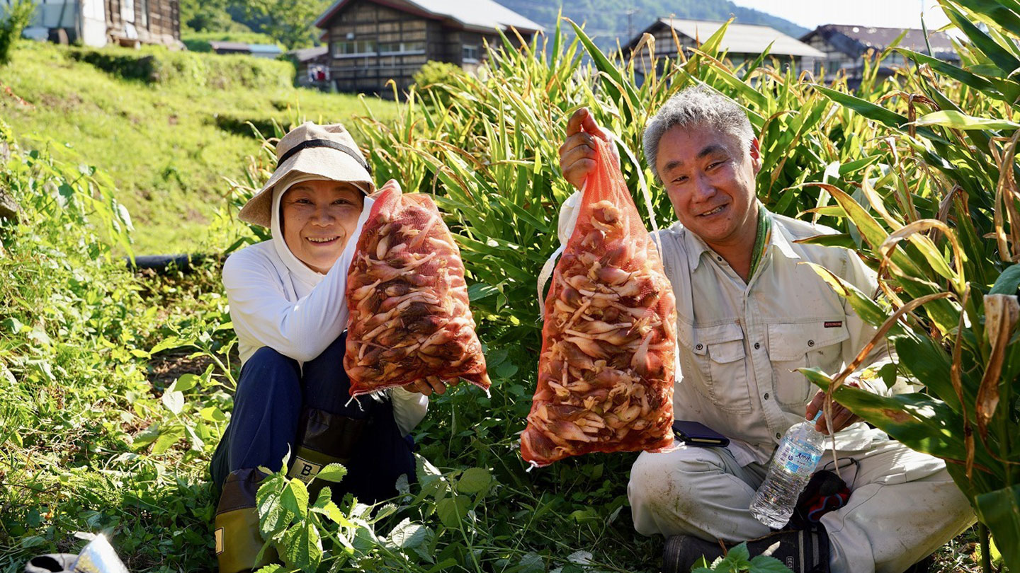 ミョウガが詰まった袋を掲げる女性と男性