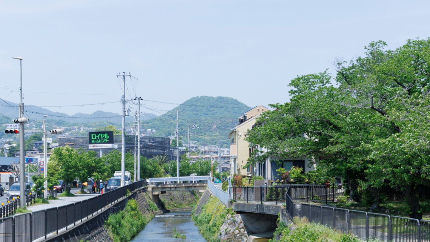 東川の上流に、お椀を伏せたような丸いかたちの甲山が見える