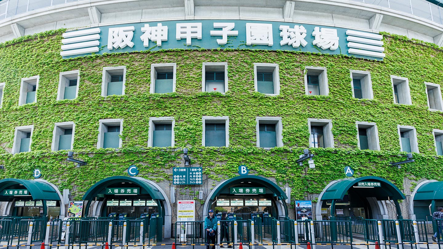 緑の蔦で覆われた阪神甲子園球場の外壁