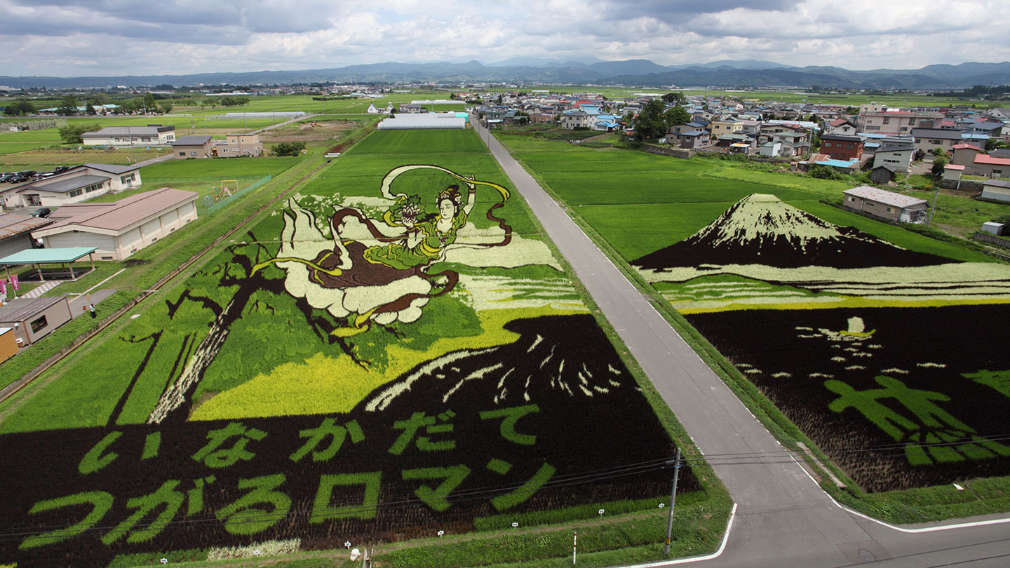 田んぼに描かれた大規模な田んぼアート。左側には天女の絵と「いなかだて　つがるロマン」の文字、右側には富士山の絵が表現されている