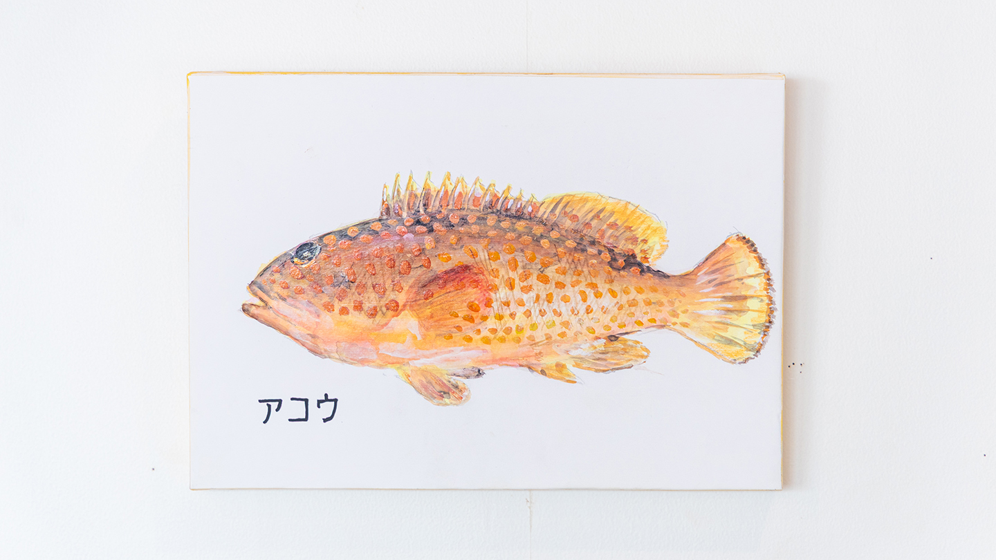 白い壁に、オレンジ色の魚「アコウ」を描いたイラストが飾られている