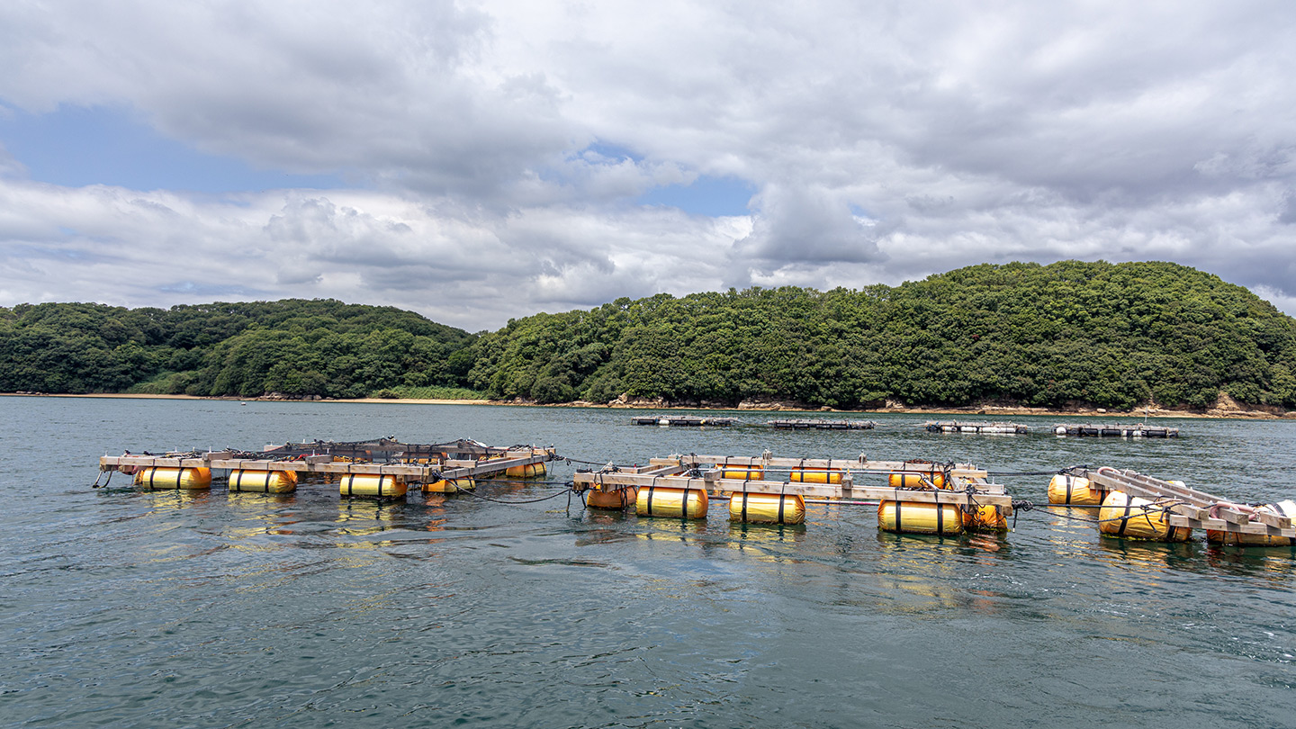 海上に浮かぶ生簀。奥には緑に覆われた島と雲が広がっている