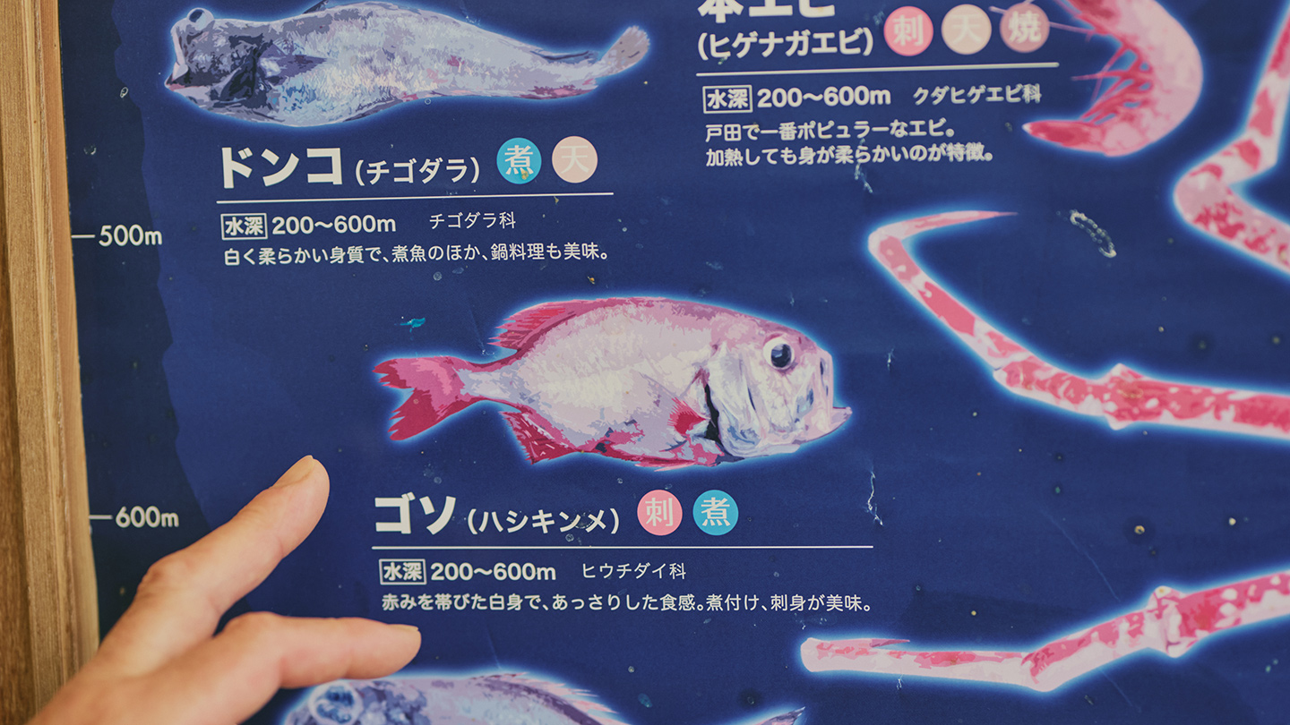 白い体、赤いヒレの深海魚ゴソ（ハシキンメ）の写真