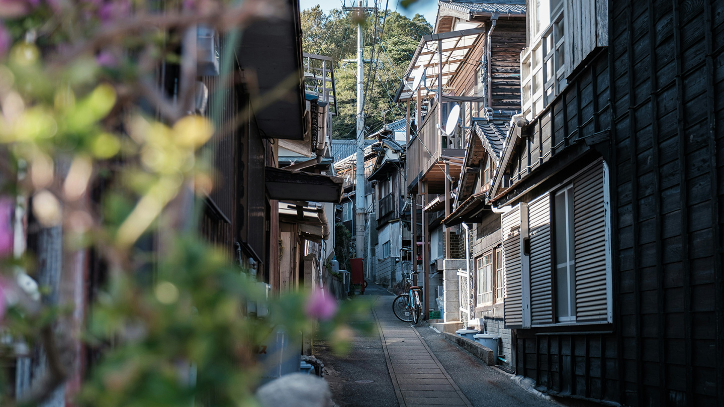 古い木造家屋が立ち並ぶ、緑に囲まれた細い路地