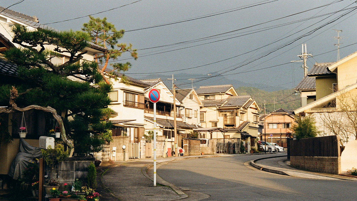 住宅が立ち並ぶ坂道。庭木や鉢植え、電線越しに山並みが見える