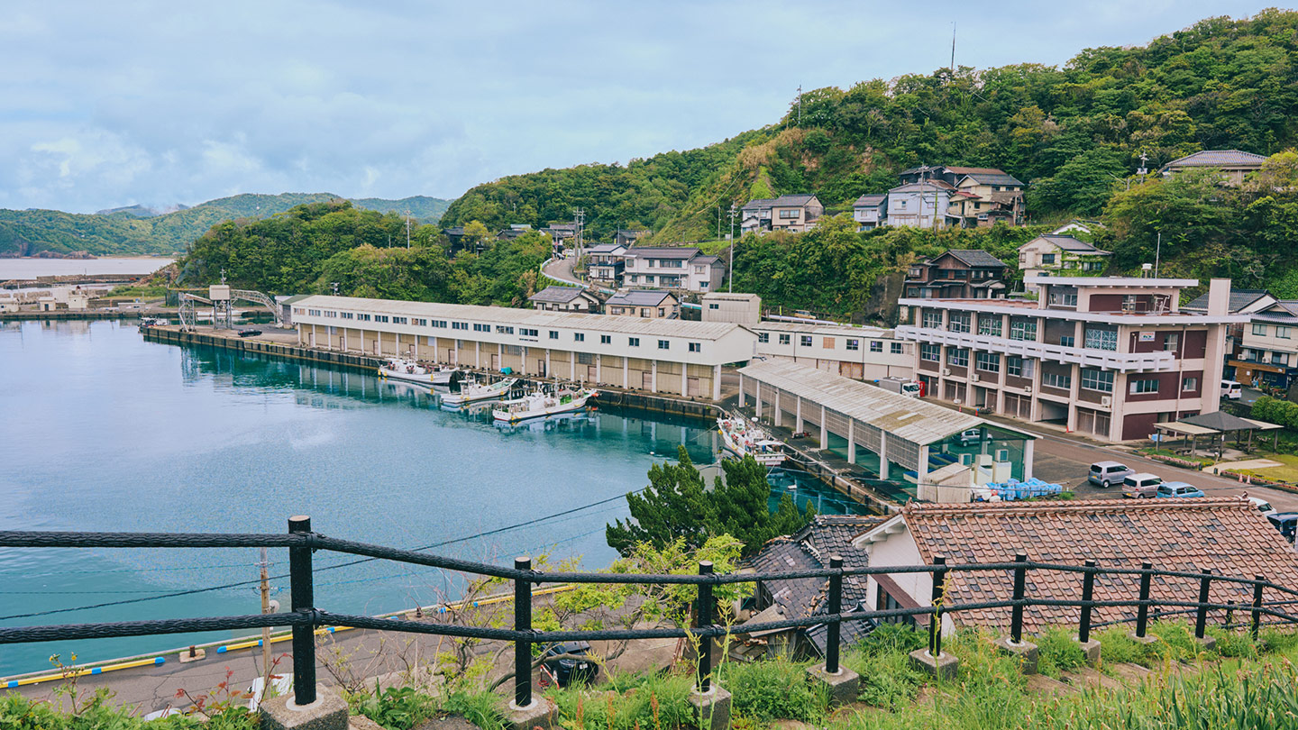 高台から望む漁港。海沿いに建物が並び、奥に日本海と緑の山並みが広がっている