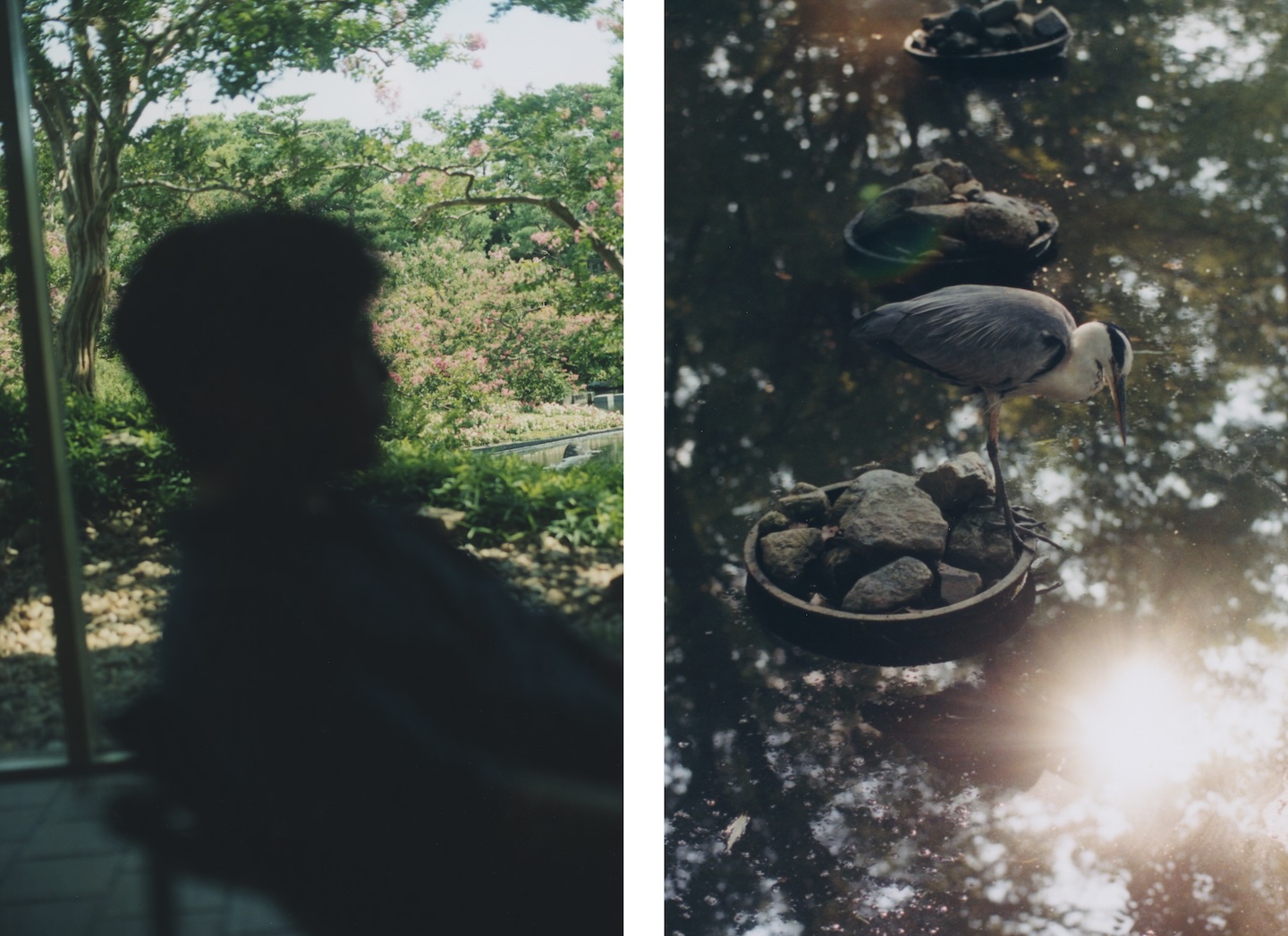 2枚組の写真。左は庭園を眺める岸田繁さんのシルエット。右は池とそのなかにある石の上に立つ鳥