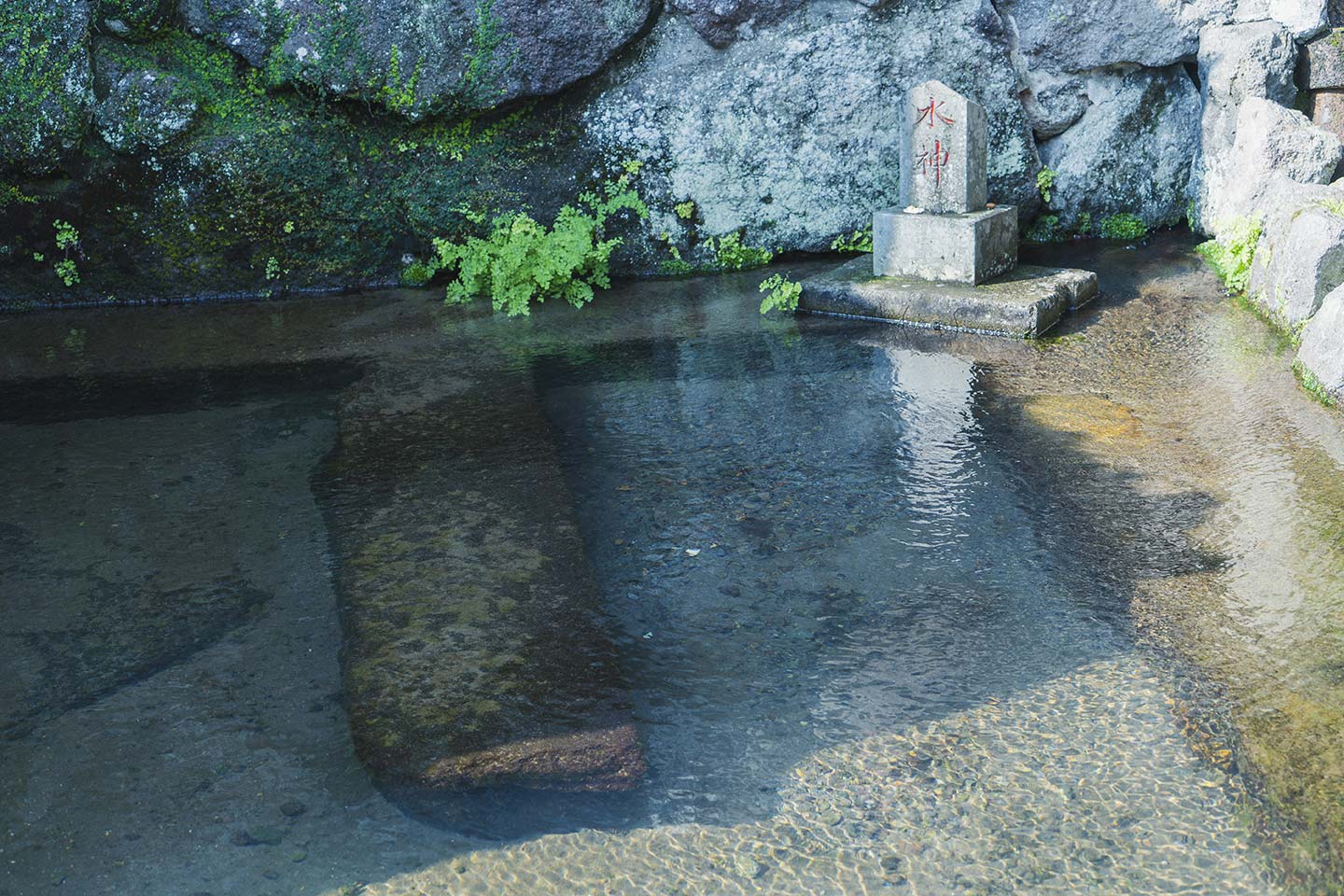 小さな池と「水神」と書かれた石碑