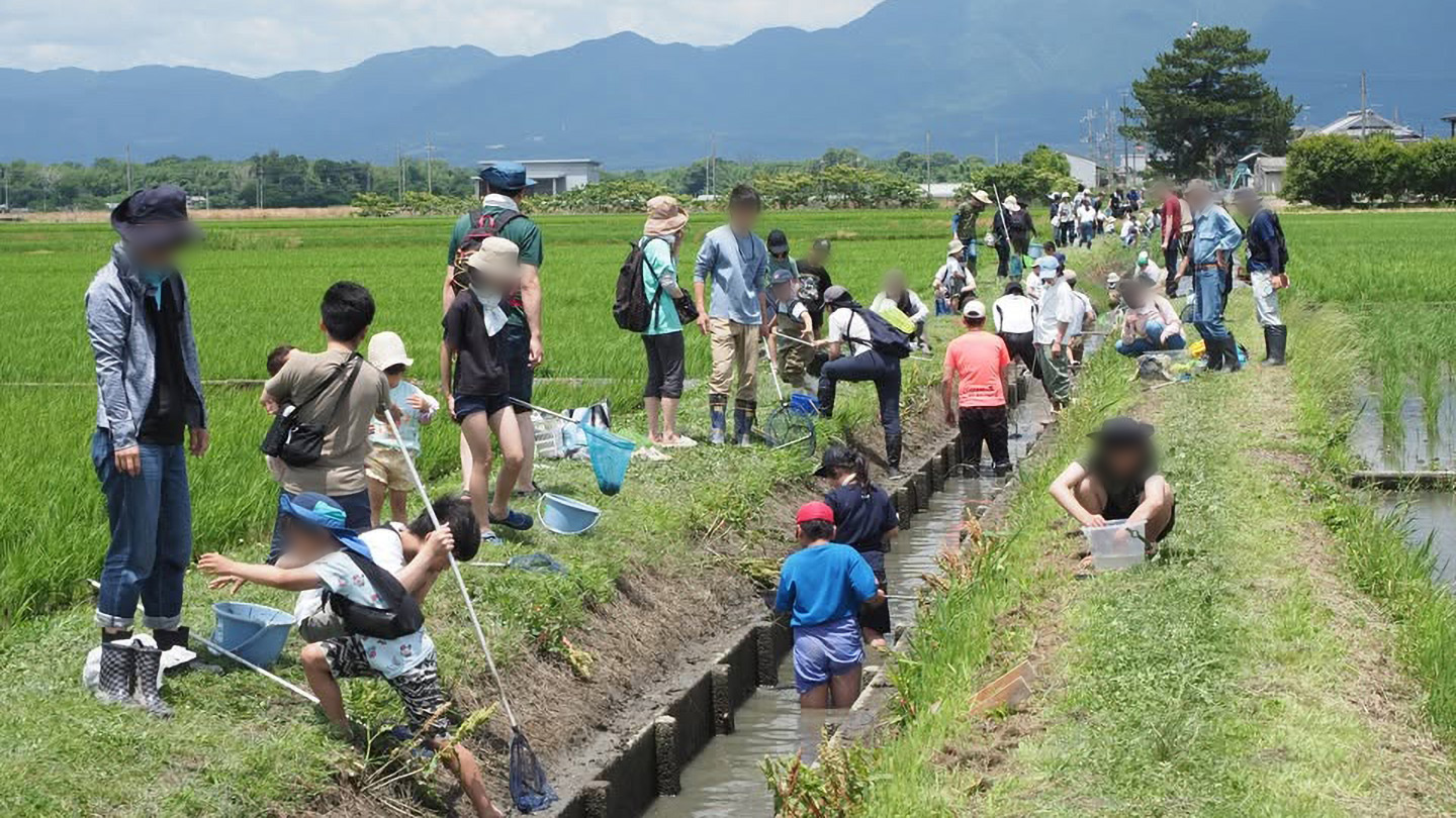 人々が網やバケツを持って、田んぼの用水路に集まっている様子