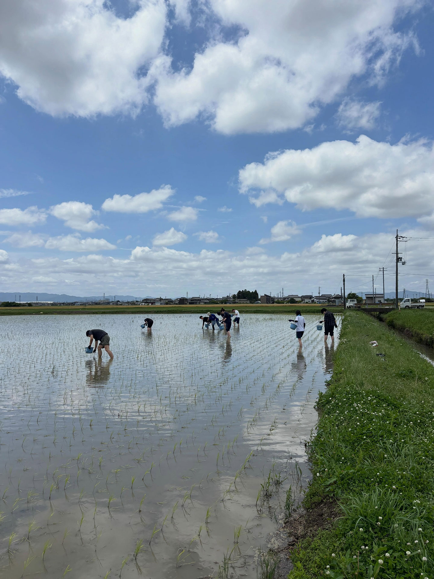 10名ほどの学生が田んぼの中で作業をしている様子