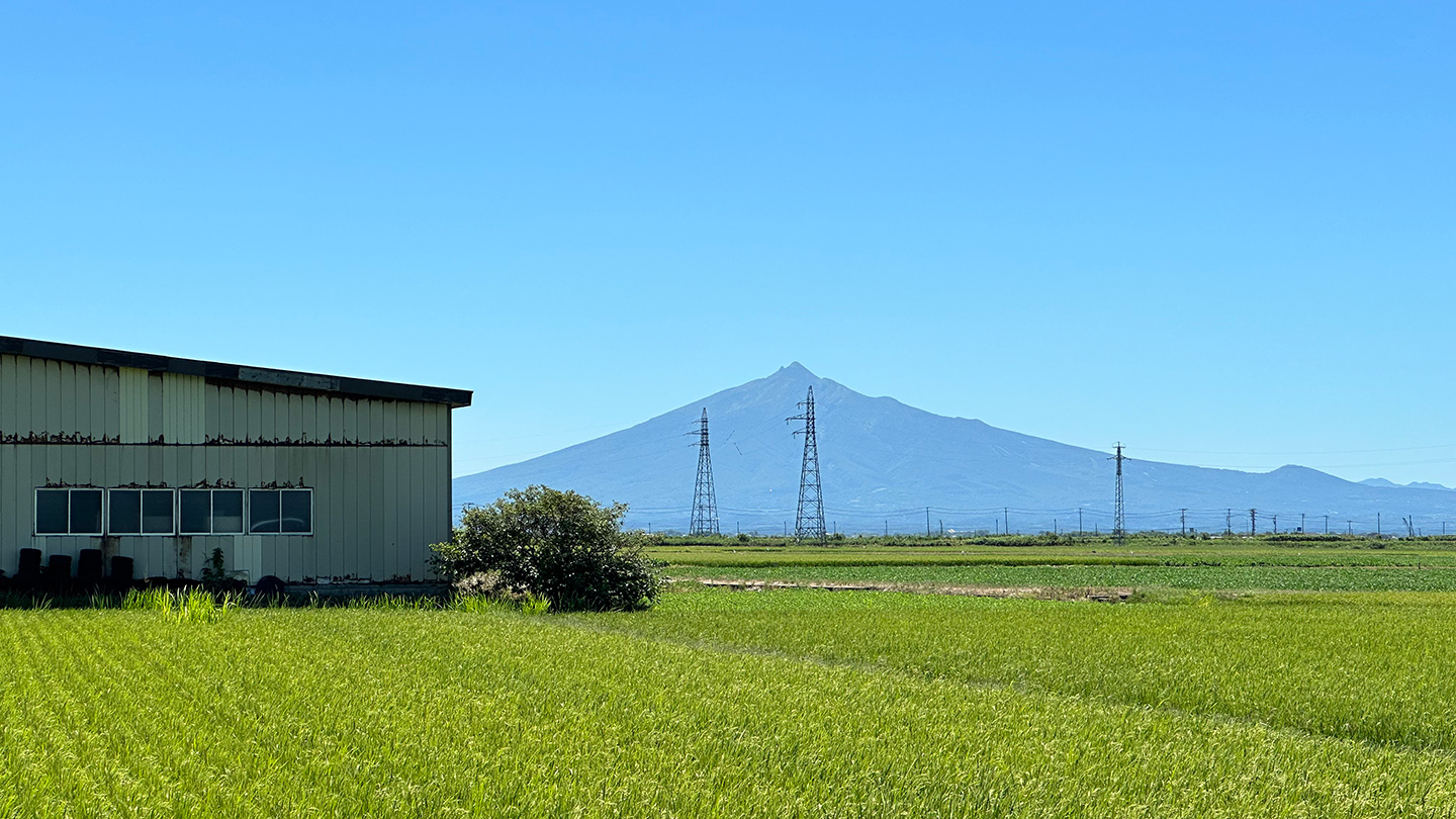 青空の下、緑豊かな津軽平野の田園風景の向こうにそびえる岩木山