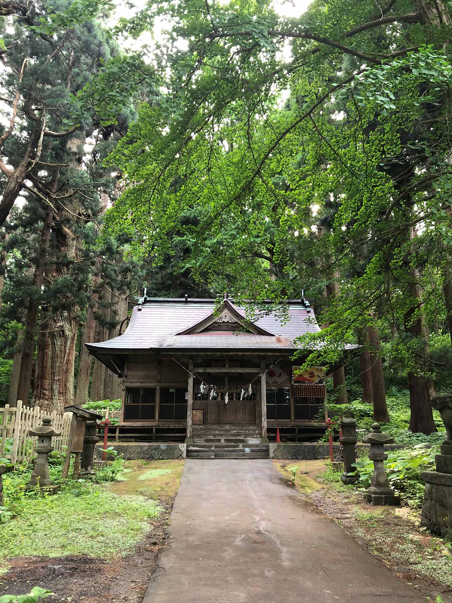 大杉などの木々に囲まれた、静かな森のなかにたたずむ神社の本殿